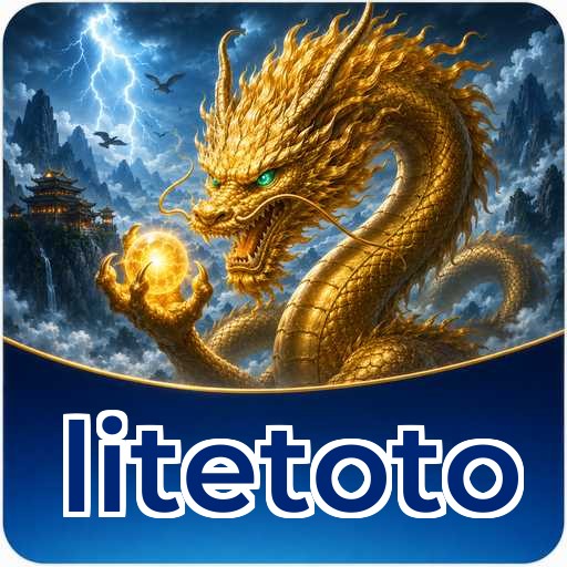 Audit profile litetoto